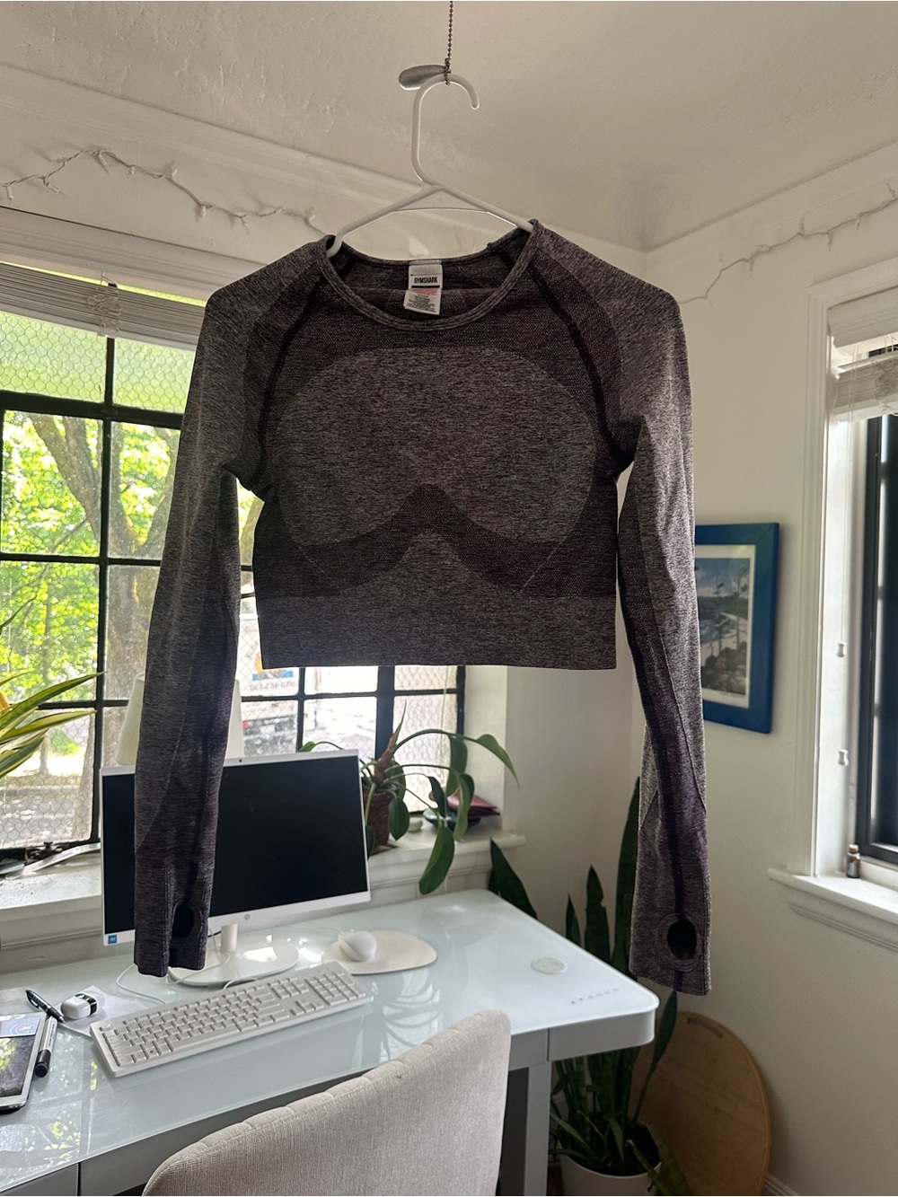 Gymshark Gray Seamless Long-Sleeve Crop Top
